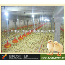 birdsitter professional automatic poultry house design